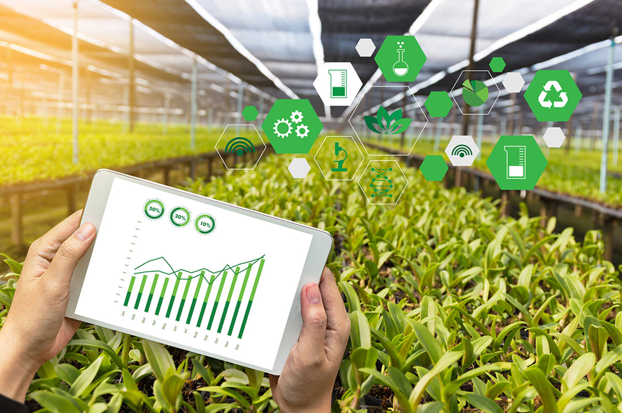 Smart Agriculture/ Agriculture IOT